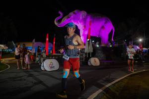 BIB: 
                            <button type="button" onclick="openModal(26552219)" class="btn btn-primary btn-sm float-right btn-popup" data-toggle="modal" data-target=".modal-high-quality">
                        <i class="fas fa-shopping-cart"></i> Add to Cart
                    </button>
                                            <button type="button" onclick="isThisMe(26552219, true)" class="btn btn-success btn-sm float-right btn-popup btn-isme hidden" data-toggle="tooltip" data-placement="bottom" title="นี่คือรูปของคุณใช่ไหม คลิกที่นี่เพื่อเอาเข้าอัลบั้ม">
                        <i class="fas fa-plus"></i> Add to album
                    </button>
                    <button type="button" onclick="isThisMe(26552219, false)" class="btn btn-warning btn-sm float-right btn-popup btn-isnotme hidden">
                        <i class="fas fa-ban"></i> Remove from album
                    </button>